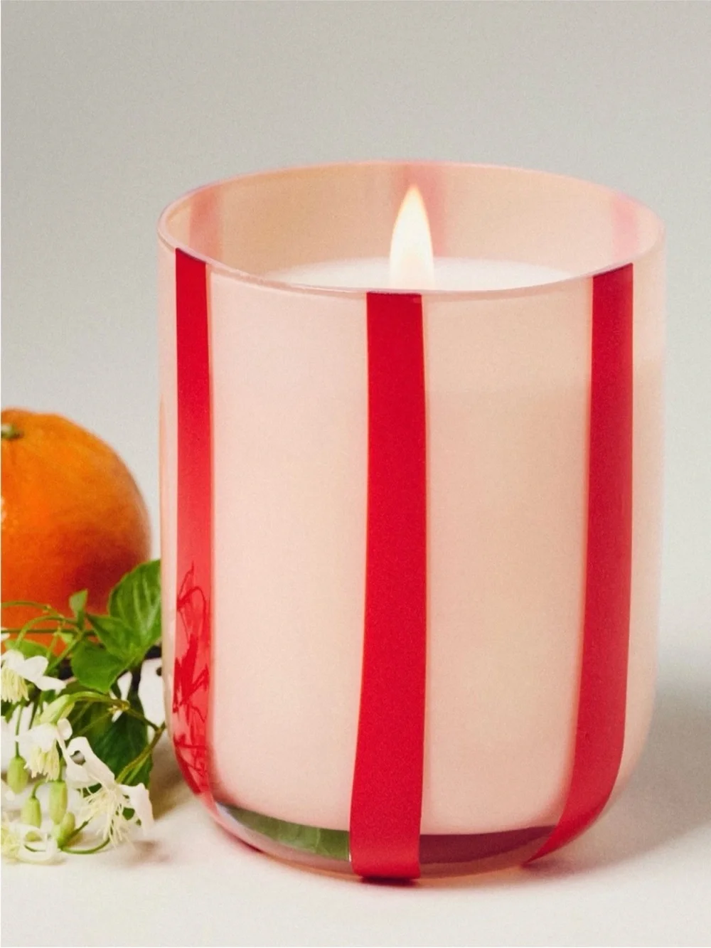 Anthropologie maegen atina